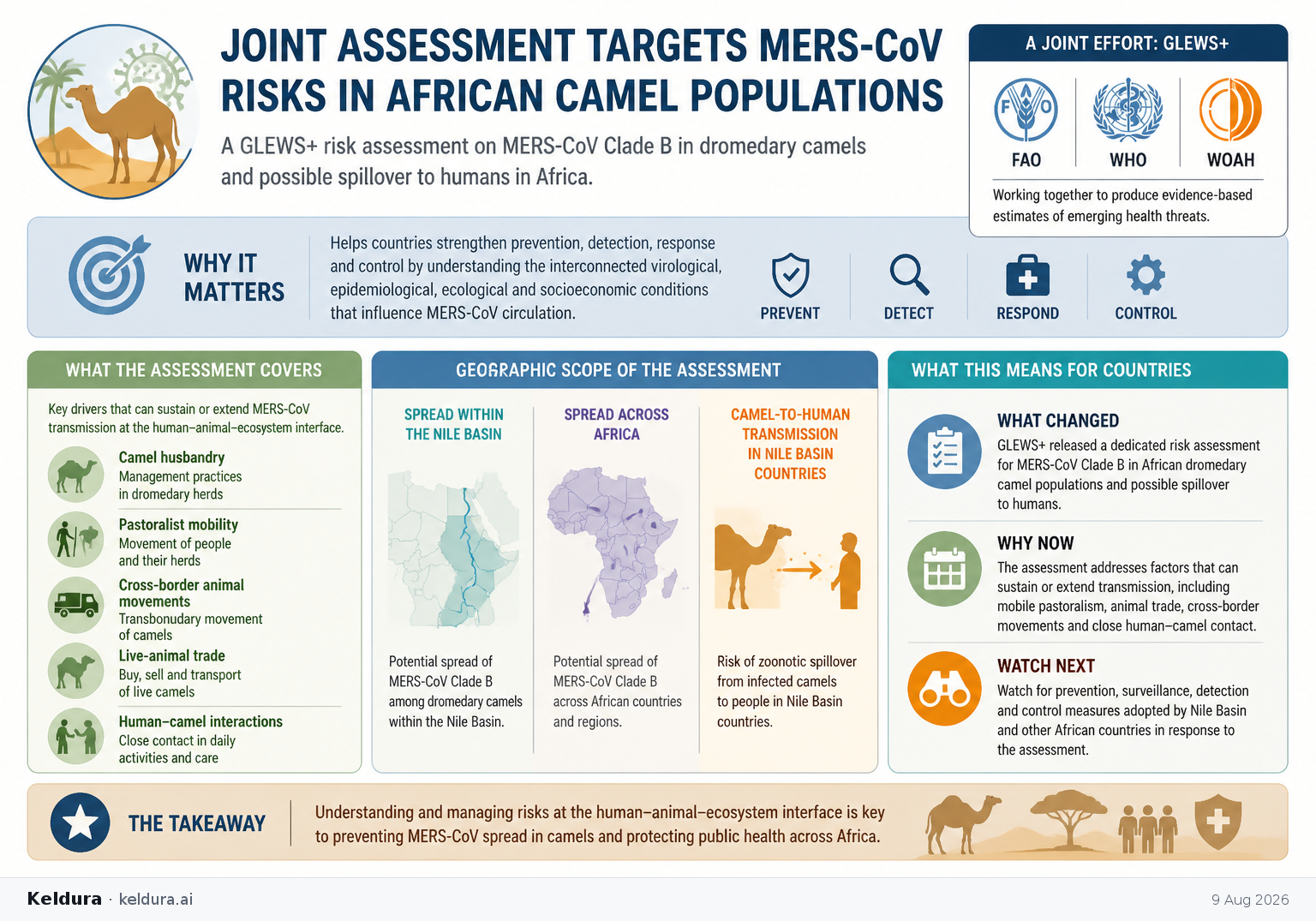 Cheatsheet for Joint assessment targets MERS-CoV risks in African camel populations. Text equivalent is attached.