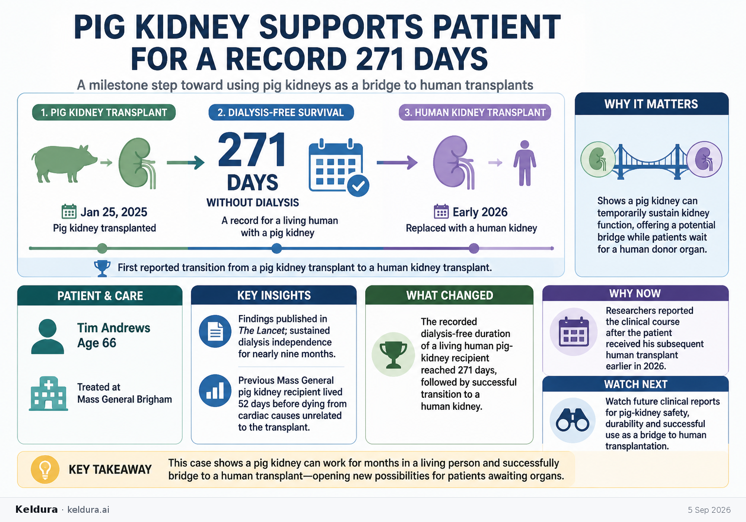 Cheatsheet for Pig kidney supports patient for a record 271 days before human transplant. Text equivalent is attached.