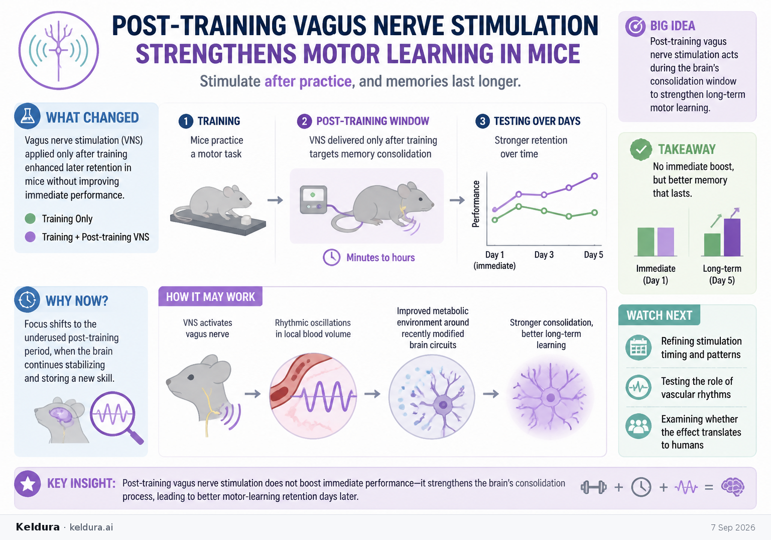 Cheatsheet for Post-training vagus nerve stimulation strengthens motor learning in mice. Text equivalent is attached.